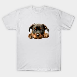 Rottweiler Cute Puppy Paws T-Shirt